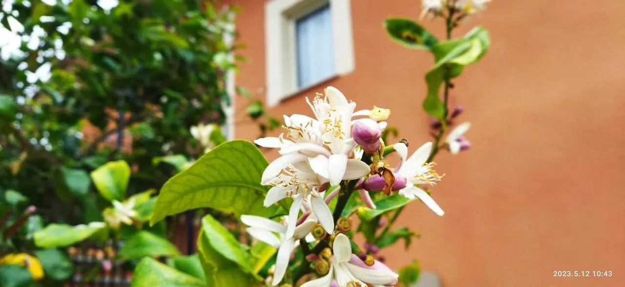 Villa Bonaffini Mazzarino